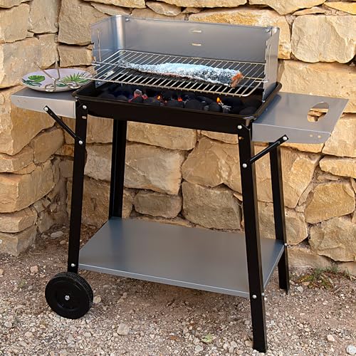 Aktive 52973 Barbacoa de Carbón y Leña con Ruedas